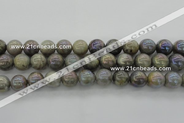 CLB608 15.5 inches 20mm round AB-color labradorite beads