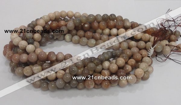 CMS03 15.5 inches 10mm round moonstone gemstone beads wholesale