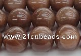 CMS1025 15.5 inches 14mm round AA grade moonstone gemstone beads