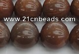 CMS1026 15.5 inches 16mm round AA grade moonstone gemstone beads