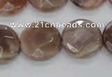 CMS113 15.5 inches 20mm faceted coin moonstone gemstone beads