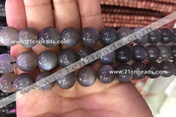 CMS1425 15.5 inches 14mm round black moonstone beads wholesale