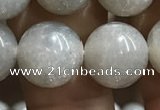CMS1654 15.5 inches 12mm round grey moonstone beads wholesale
