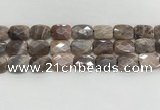 CMS1785 15.5 inches 13*18mm faceted rectangle AB-color moonstone beads