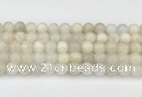 CMS2028 15.5 inches 8mm round white moonstone beads wholesale