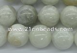 CMS217 15.5 inches 16mm round white moonstone gemstone beads