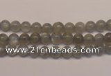 CMS300 15.5 inches 5mm round natural grey moonstone beads wholesale