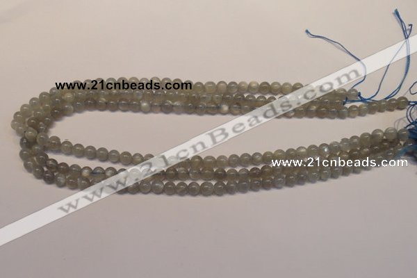 CMS300 15.5 inches 5mm round natural grey moonstone beads wholesale