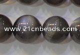 CMS861 15.5 inches 12mm round A grade natural black moonstone beads
