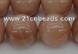 CMS937 15.5 inches 18mm round A grade moonstone gemstone beads