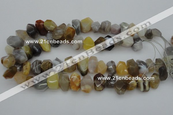 CNG1026 15.5 inches 10*14mm - 15*20mm faceted nuggets Botswana agate beads