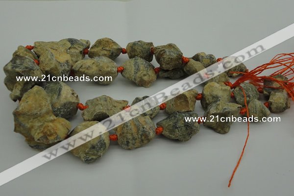 CNG1045 15.5 inches 15*20mm - 25*35mm nuggets inkstone fossil beads