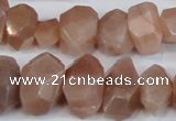 CNG2701 15.5 inches 10*14mm - 13*18mm faceted nuggets moonstone beads