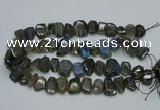 CNG2825 15.5 inches 13*18mm - 15*20mm freeform labradorite beads