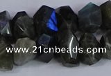 CNG2830 15.5 inches 10*14mm - 13*18mm faceted nuggets labradorite beads