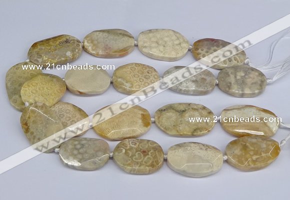 CNG3072 15.5 inches 25*35mm - 30*40mm freeform chrysanthemum agate beads