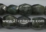 CNG5007 15.5 inches 10*14mm - 13*18mm faceted nuggets labradorite beads