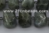CNG5221 15.5 inches 12*16mm - 15*20mm faceted nuggets labradorite beads