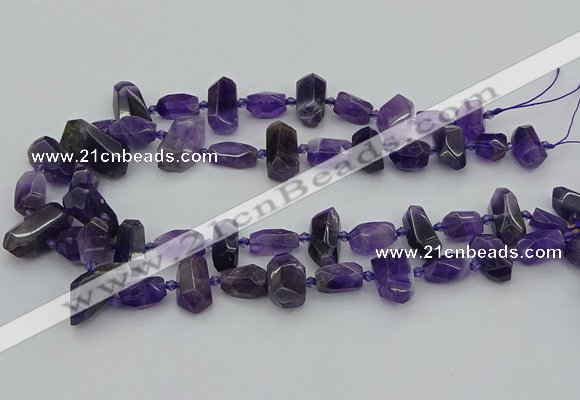 CNG5370 15.5 inches 10*15mm - 15*25mm faceted nuggets amethyst beads