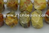 CNG5436 12*16mm - 15*20mm faceted nuggets crazy lace agate beads