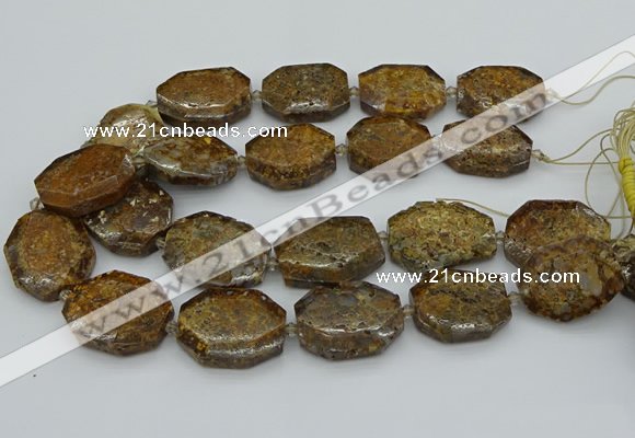 CNG5454 15.5 inches 20*30mm - 35*45mm faceted freeform opal beads