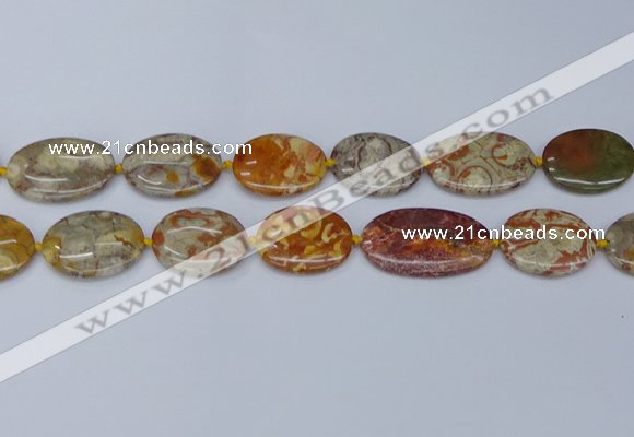 CNG7111 15.5 inches 18*25mm - 20*33mm freeform birdeye rhyolite beads