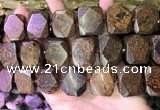 CNG7582 15.5 inches 18*25mm - 20*28mm faceted freeform bronzite beads