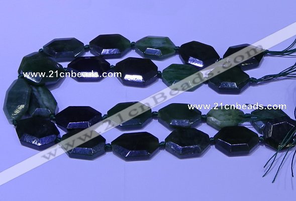 CNG7627 20*30mm - 22*32mm faceted freeform Canadian Jade beads