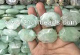 CNG7831 20*28mm - 25*35mm faceted freeform light prehnite beads