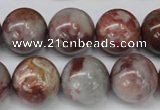 COJ207 15.5 inches 16mm round blood stone beads wholesale