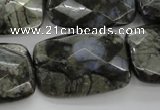 COP491 15.5 inches 20*30mm faceted rectangle natural grey opal beads