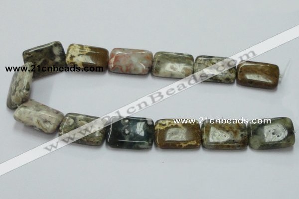 COS23 15.5 inches 22*30mm rectangle ocean stone beads wholesale