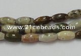 COS29 15.5 inches 6*10mm rice ocean stone beads wholesale