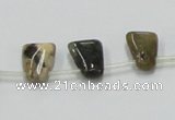 COS31 15.5 inches 10*14mm trapezoid ocean stone beads wholesale