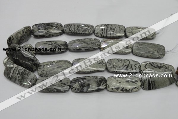 CPT132 15.5 inches 20*40mm faceted rectangle grey picture jasper beads
