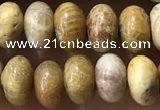 CRB5321 15.5 inches 4*6mm rondelle fossil coral beads wholesale