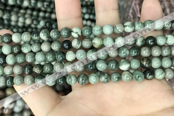 CRM201 15.5 inches 6mm round green mud jasper beads wholesale