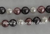 CSB1045 15.5 inches 8mm round mixed color shell pearl beads