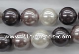 CSB1123 15.5 inches 14mm round mixed color shell pearl beads