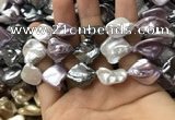 CSB2167 15.5 inches 16*16mm - 18*20mm baroque mixed shell pearl beads
