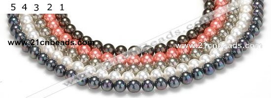 CSB38 16 inches 10mm round shell pearl beads Wholesale