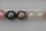 CSB408 15.5 inches 8mm - 16mm round mixed color shell pearl beads