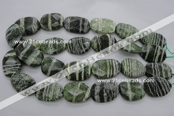 CSJ127 15.5 inches 20*30mm faceted freeform green silver line jasper beads