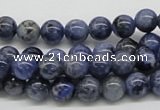CSO41 15.5 inches 8mm round sodalite gemstone beads wholesale