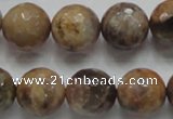 CSS100 15.5 inches 16mm faceted round natural sunstone beads wholesale