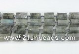 CTB878 13*25mm - 14*19mm faceted tube labradorite beads