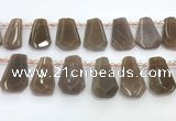 CTD2335 Top drilled 16*18mm - 20*30mm faceted freeform moonstone beads