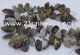 CTD3525 Top drilled 12*20mm - 15*40mm freeform botswana agate beads
