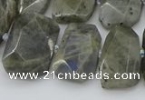 CTD3573 15.5 inches 15*20mm - 18*25mm freeform labradorite beads