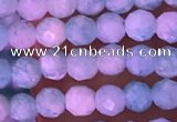 CTG1625 15.5 inches 2.5mm faceted round tiny amazonite beads
